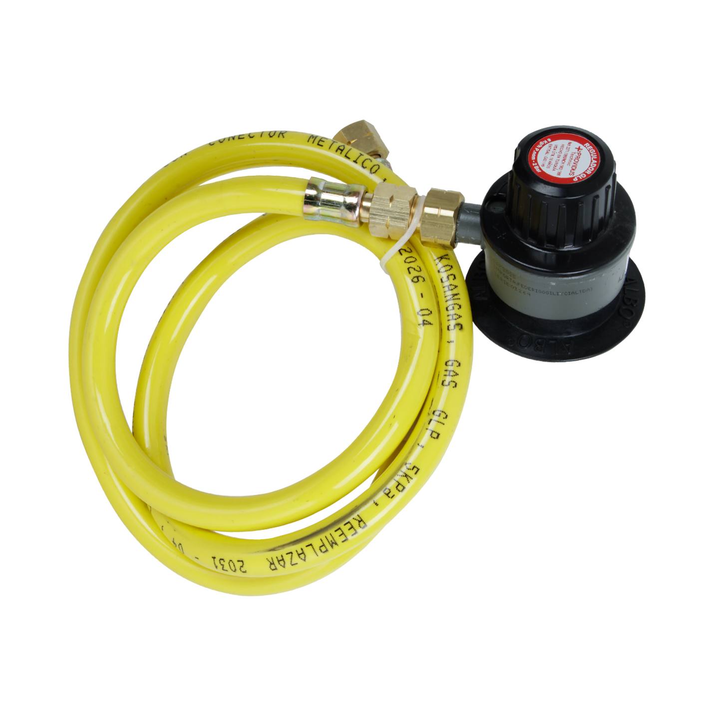 TURBOCALEFACTOR EVEREST GAS LICUADO 17KW 5